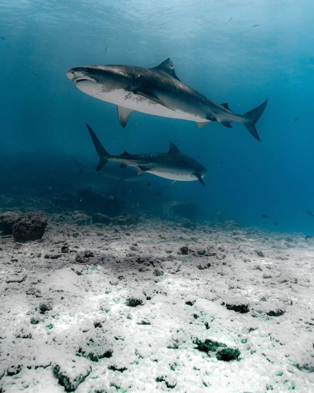 Fuvahmulah, Maldivas
