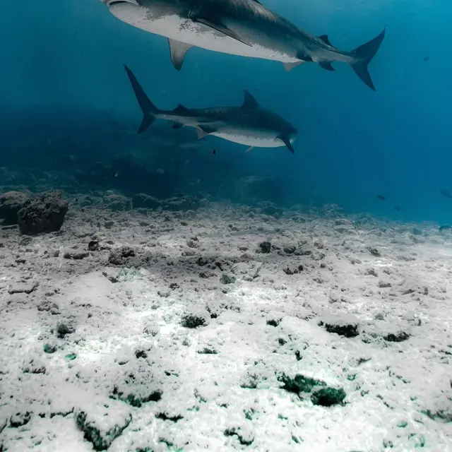 Fuvahmulah, Maldivas